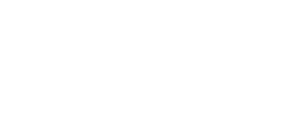 Telefonakquise - Auto